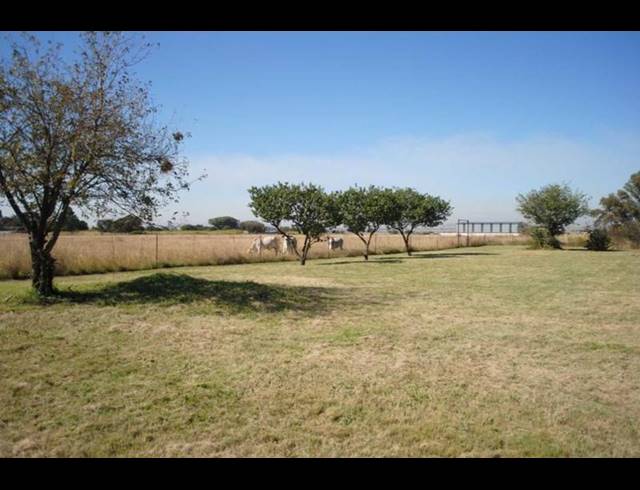 FARM FOR SALE IN HELDERSTROME